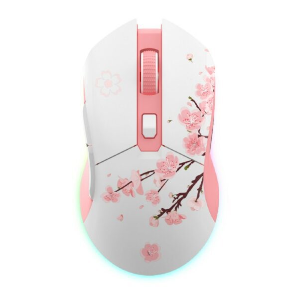 Chuột không dây Gaming DAREU EM901X RGB – Superlight, Fast charging dock