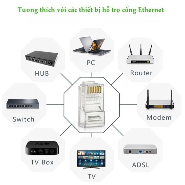 Đầu bấm mạng RJ45 Cat5e Ugreen NW110 (10-50-100 cái)