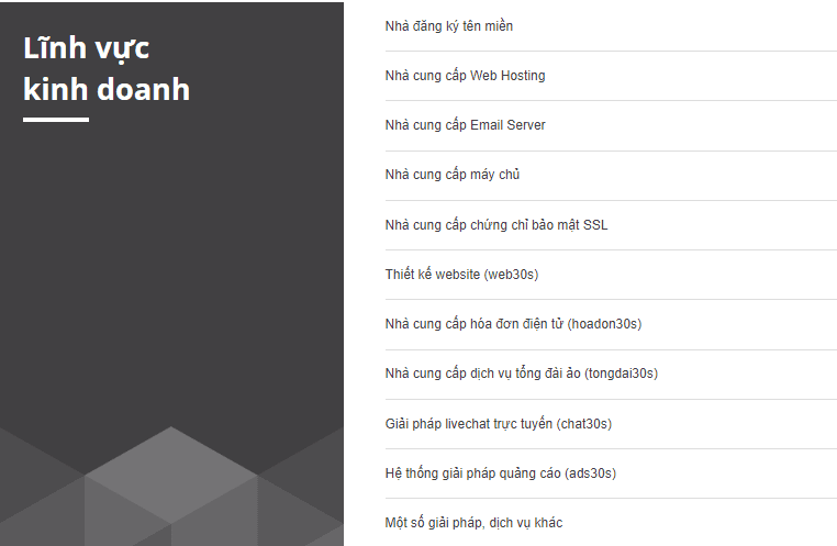 P.A Vietnam is the Strategic Partner of IT Systems Vietnam 2 Lĩnh vực kinh doanh của đối tác chiến lược P.A Việt Nam